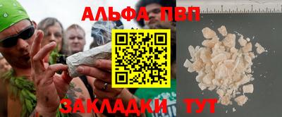 2c-b Кингисепп